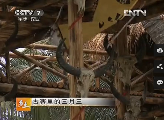 CCTV7《乡土》古寨里的三月三